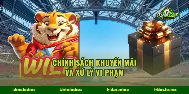 Chính sách khuyến mãi và xử lý vi phạm