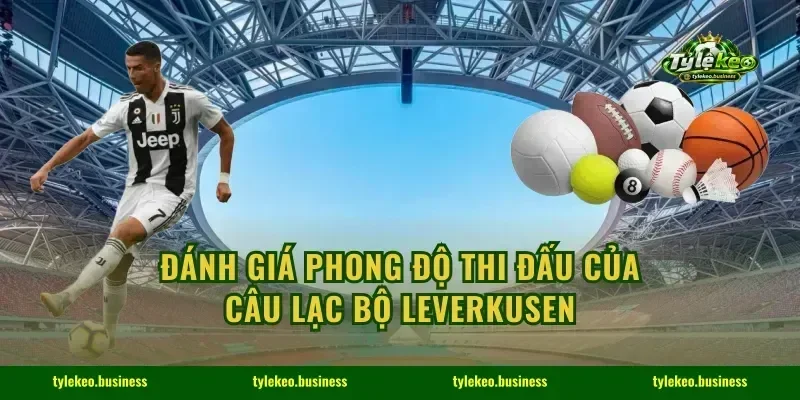 Đánh giá phong độ thi đấu của câu lạc bộ Leverkusen