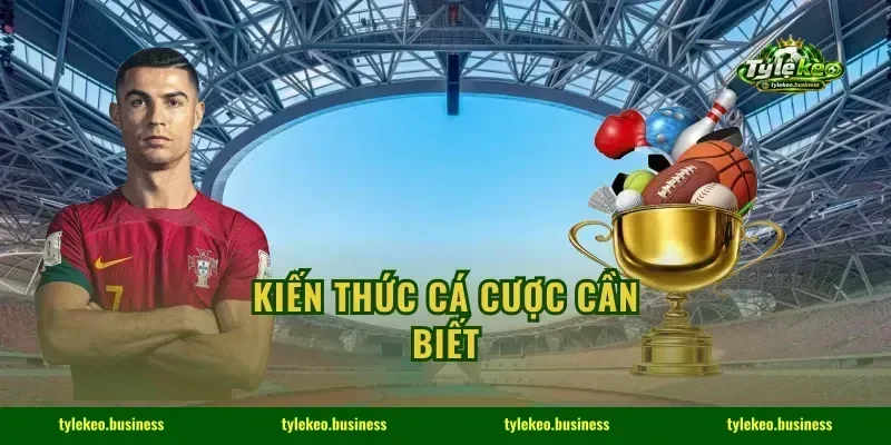 KIẾN THỨC CÁ CƯỢC CẦN BIẾT
